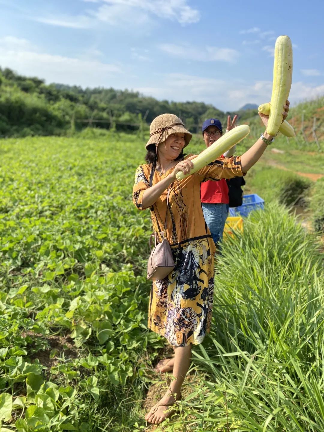 花城控股集團 花城控股集團