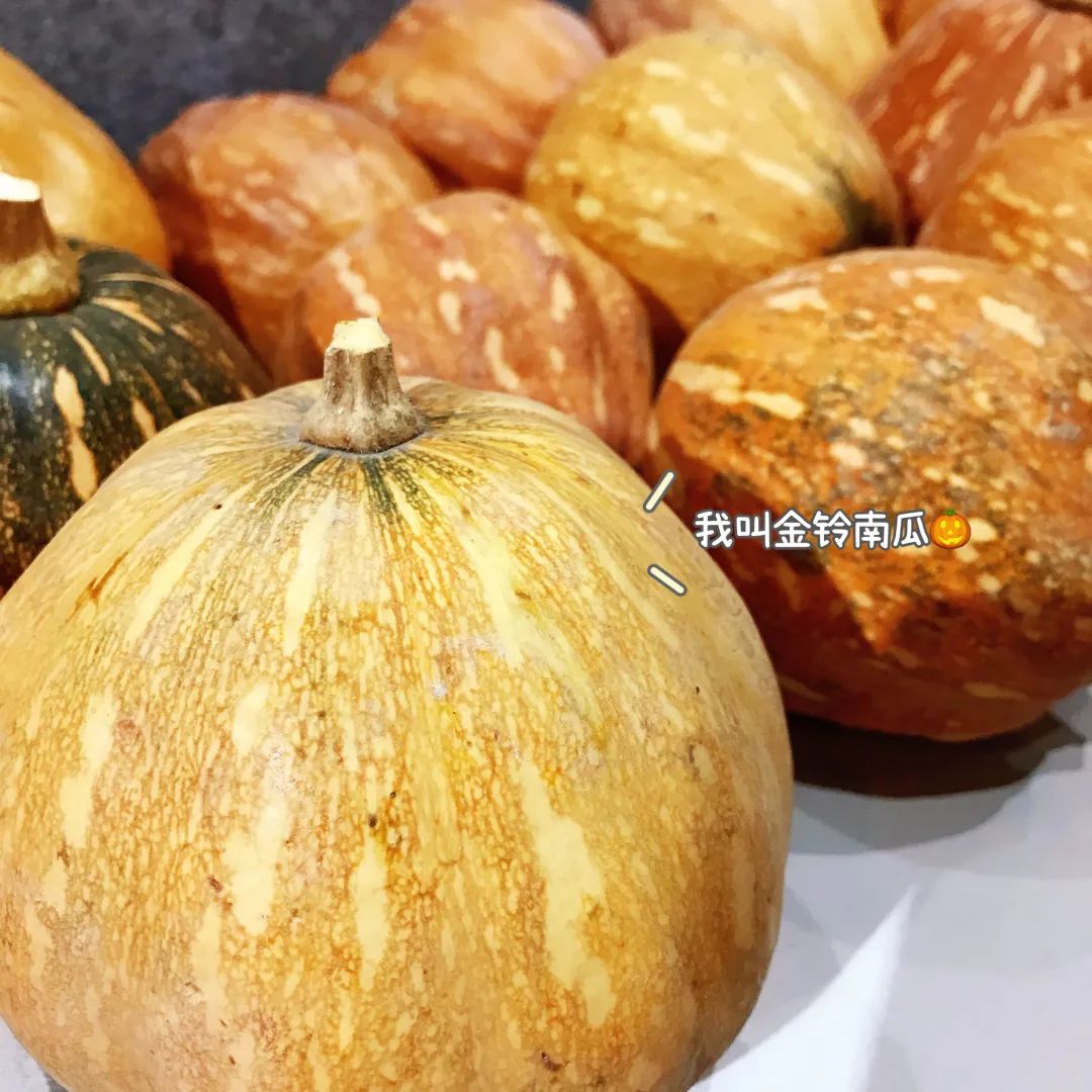 花(huā)城控股集團 花(huā)城控股集團