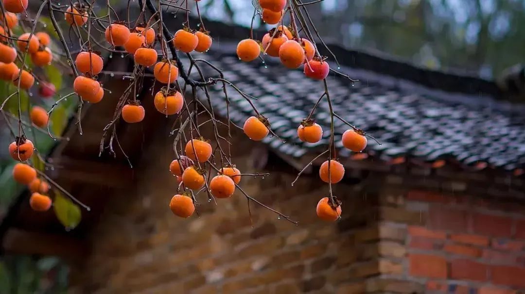 花(huā)城控股集團