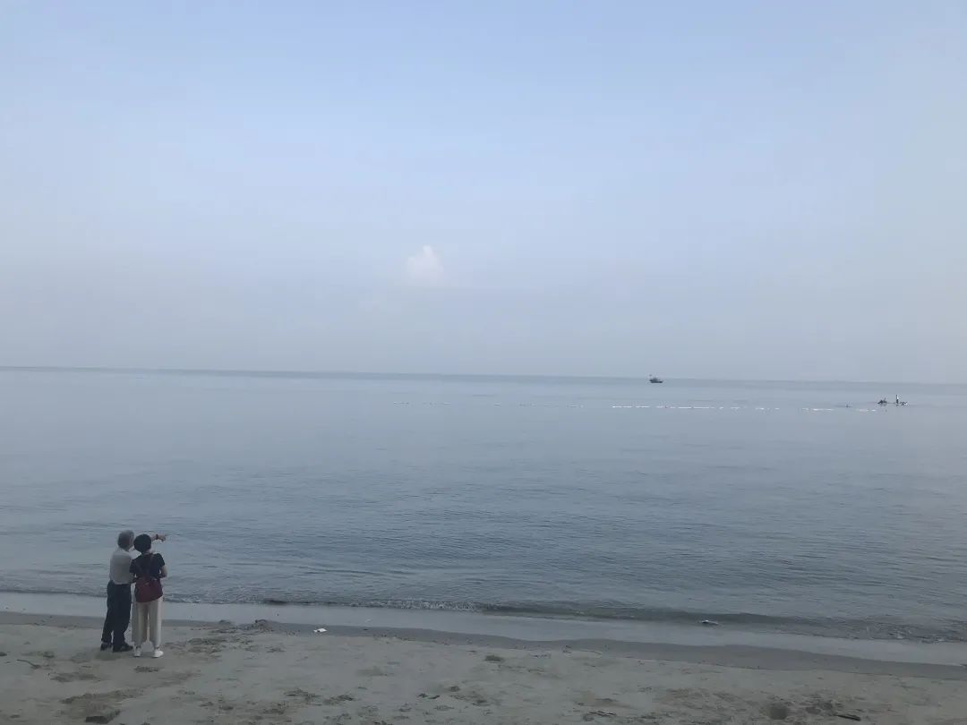 花(huā)城控股集團 花(huā)城控股集團