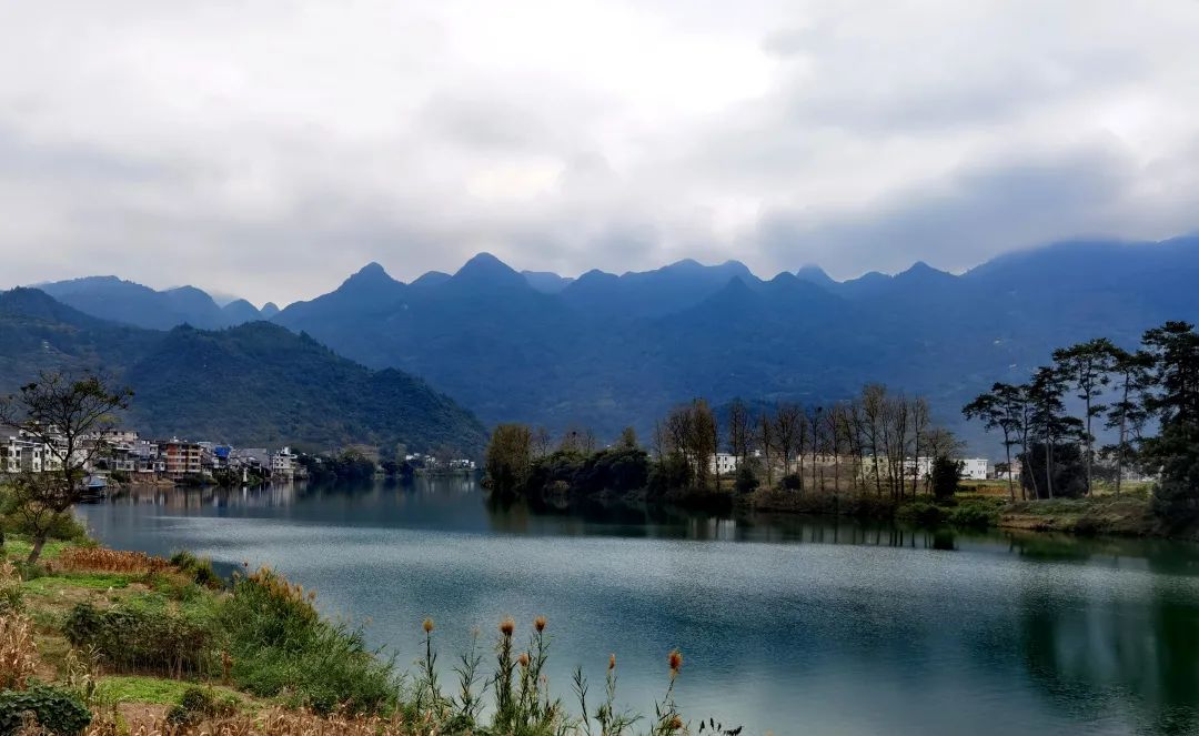 花(huā)城控股集團