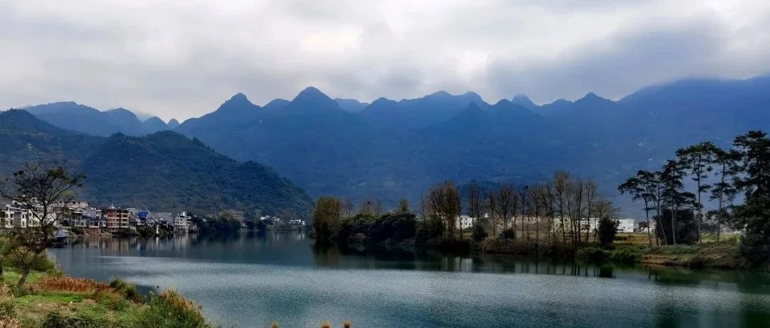 今日夢花(huā)灣丨霜輕未殺萋萋草(cǎo)，日暖初幹漠漠沙