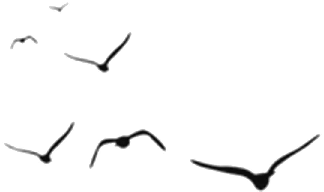 花(huā)城控股集團