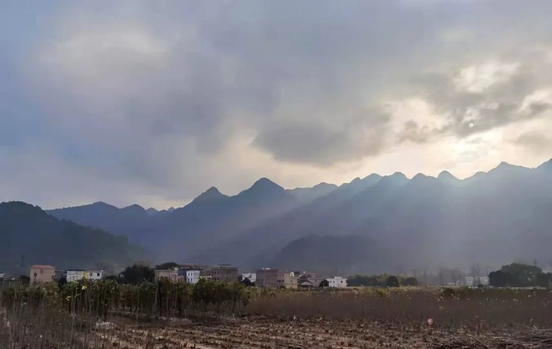 花(huā)城控股集團