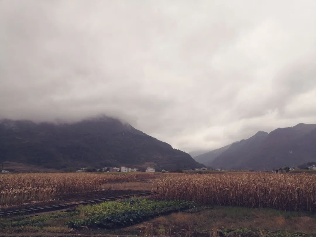 花(huā)城控股集團