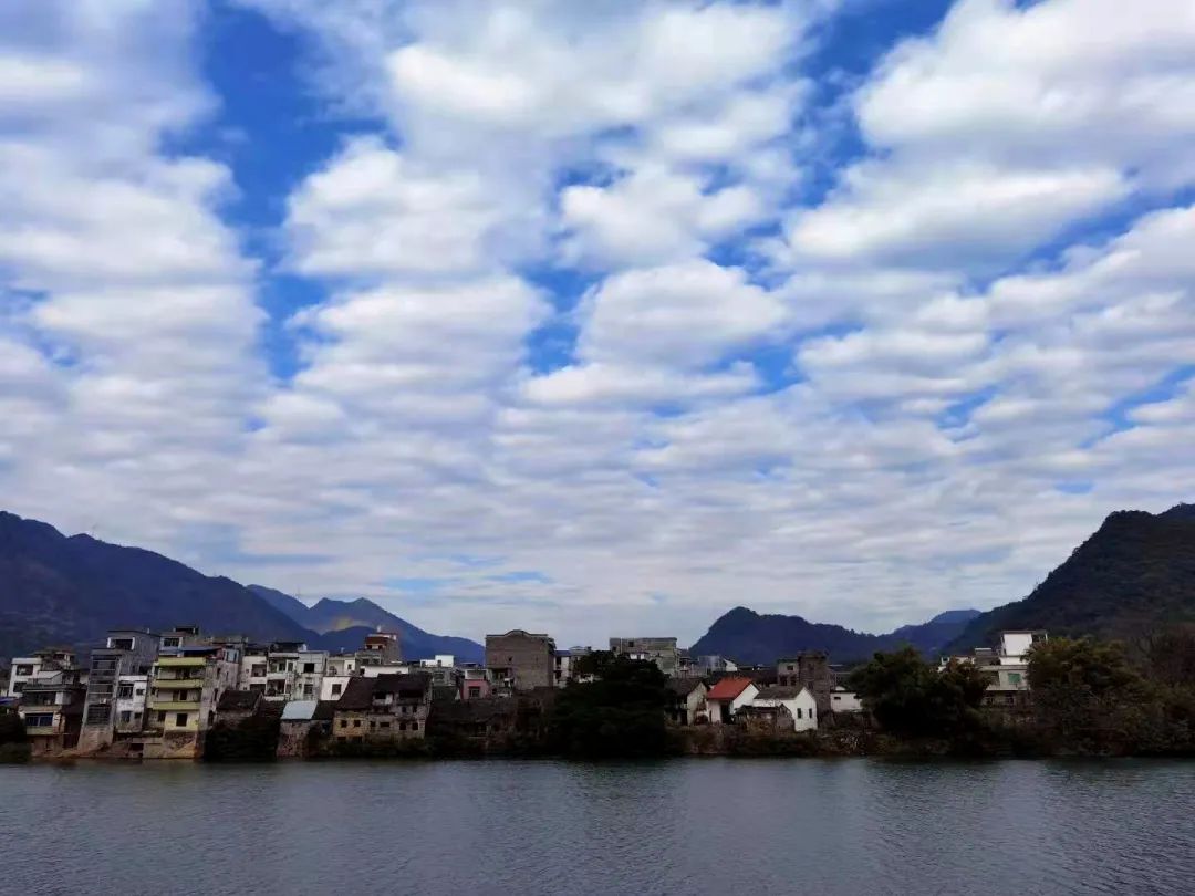 花(huā)城控股集團
