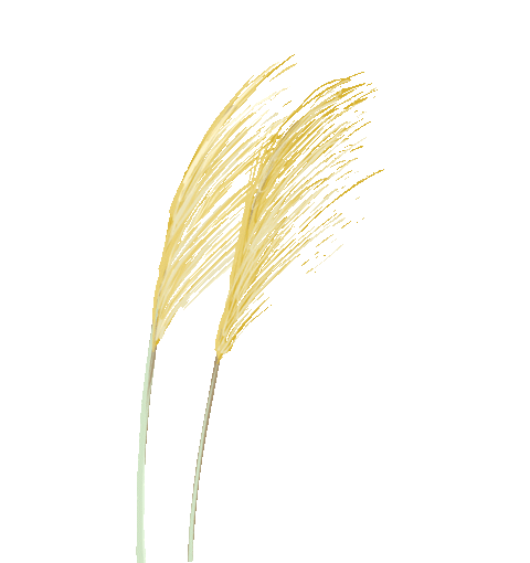 花(huā)城控股集團 花(huā)城控股集團