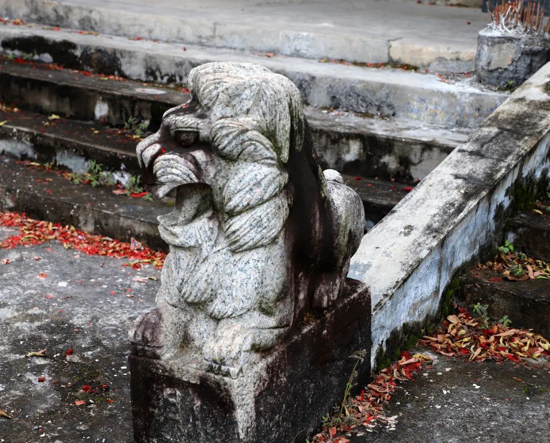 花(huā)城控股集團 花(huā)城控股集團