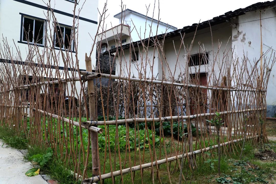 花(huā)城控股集團 花(huā)城控股集團