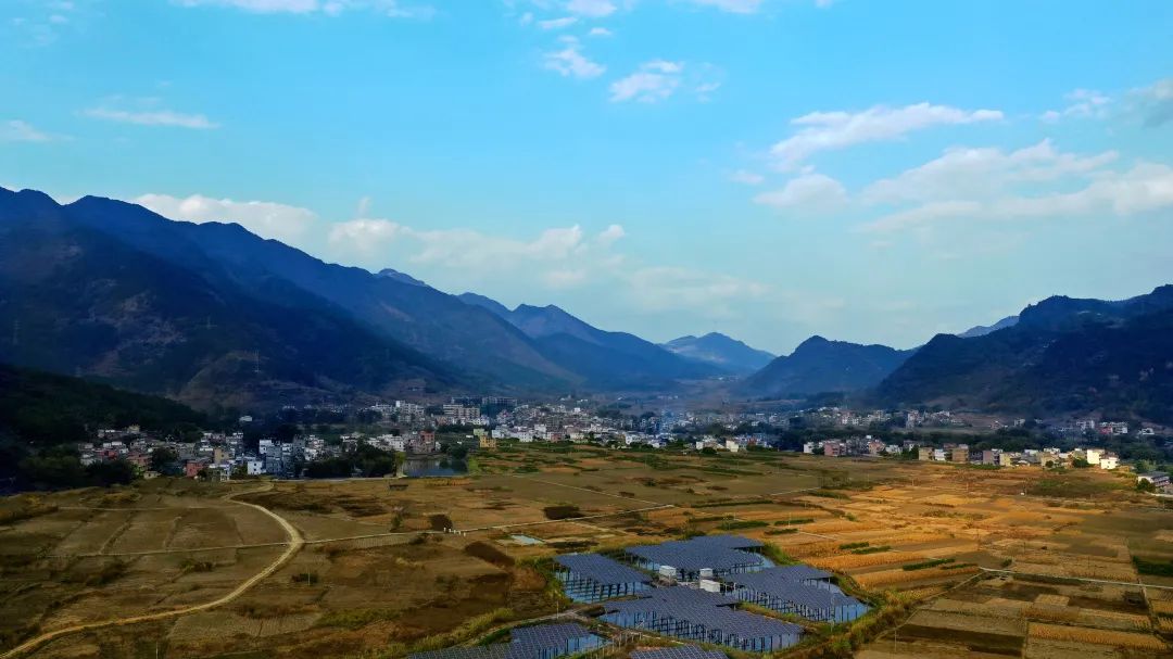 花(huā)城控股集團