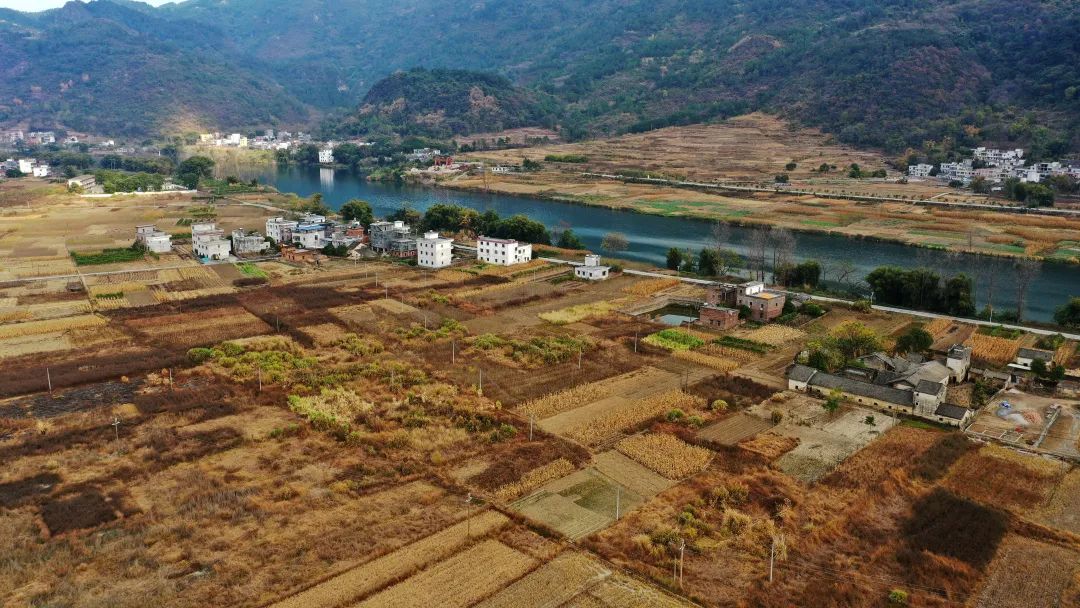 花(huā)城控股集團
