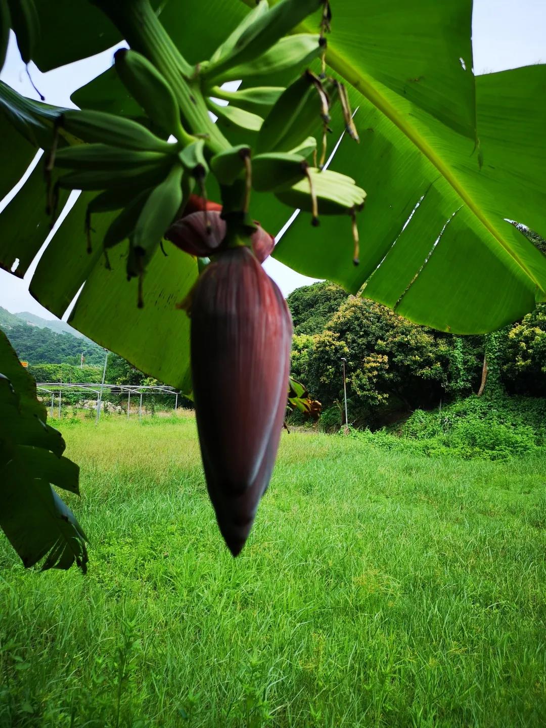 廣州寫字樓招商(shāng)花(huā)城創意産(chǎn)業園 廣州寫字樓招商(shāng)花(huā)城創意産(chǎn)業園